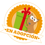 Publicación de tipo En adopción